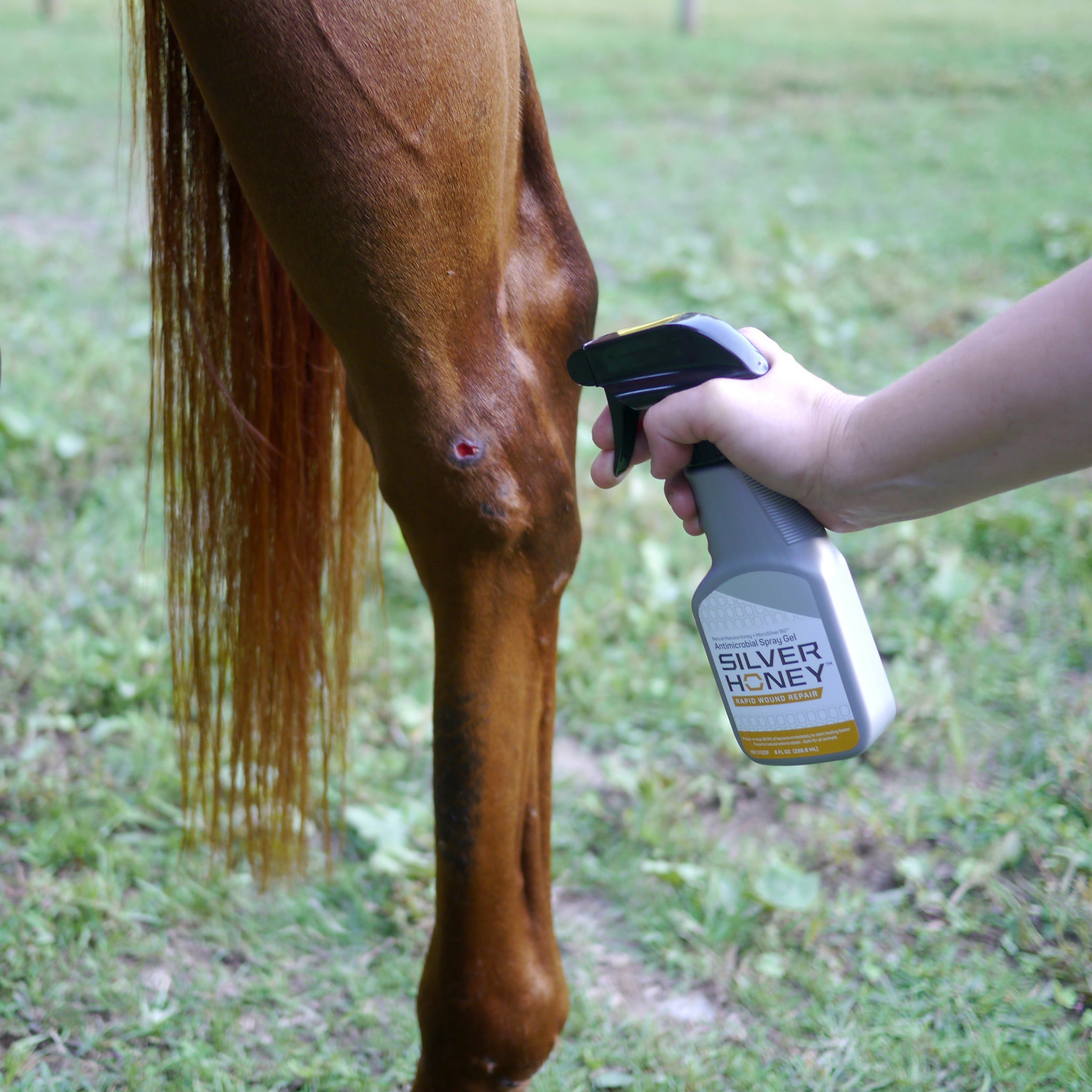 Silver Honey rapid wound repair spray