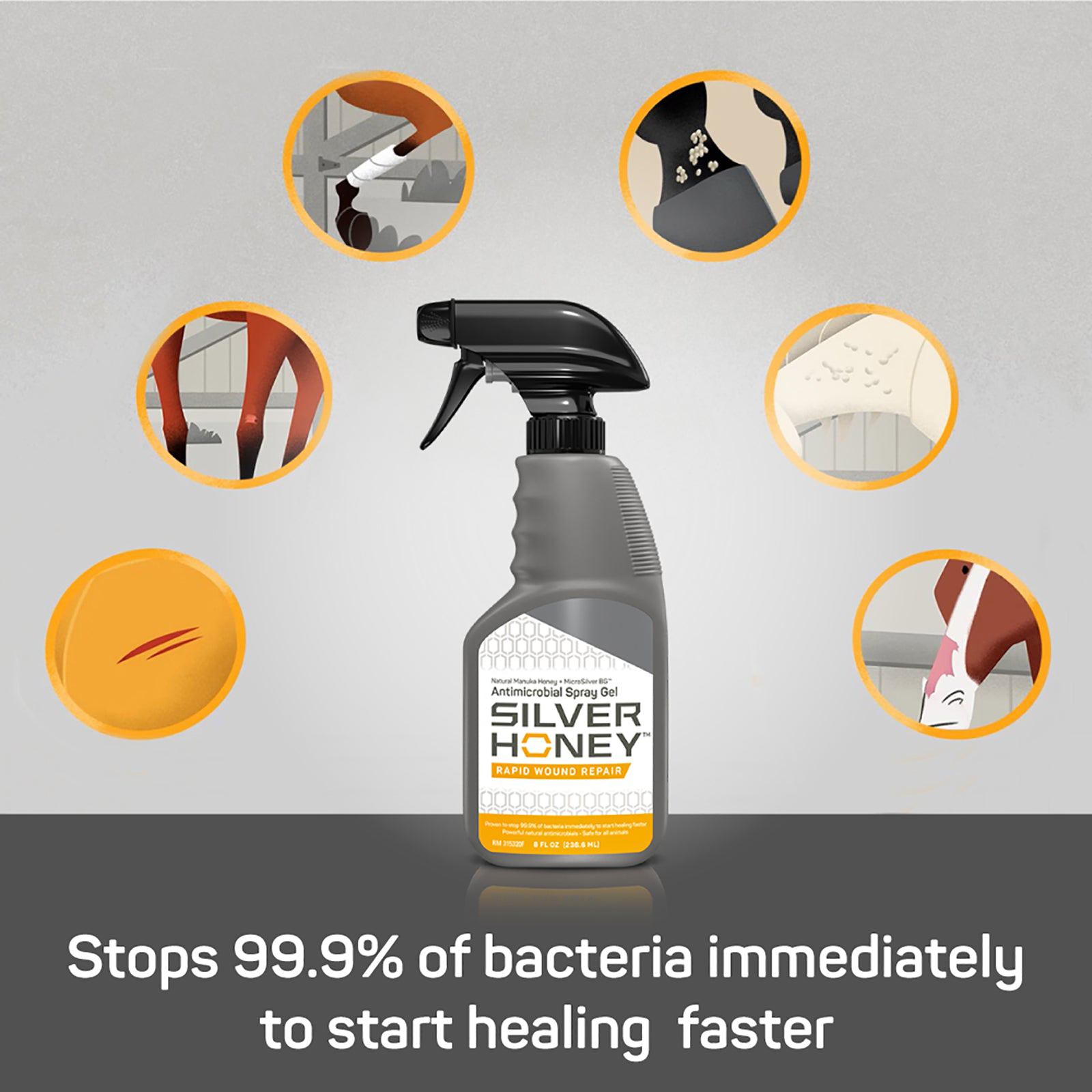Silver Honey rapid wound repair spray